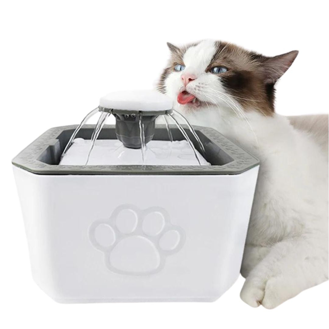 Fuente de Agua para mascotas con pack de filtros