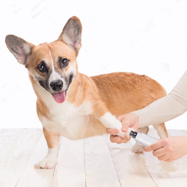 Limador de Uñas Recargable para Mascotas