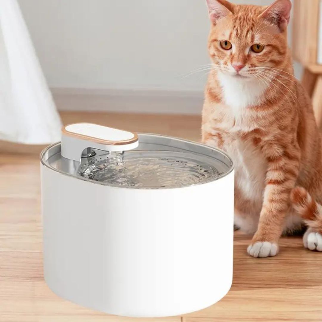 Bebedero automatico para gatos 3 Litros