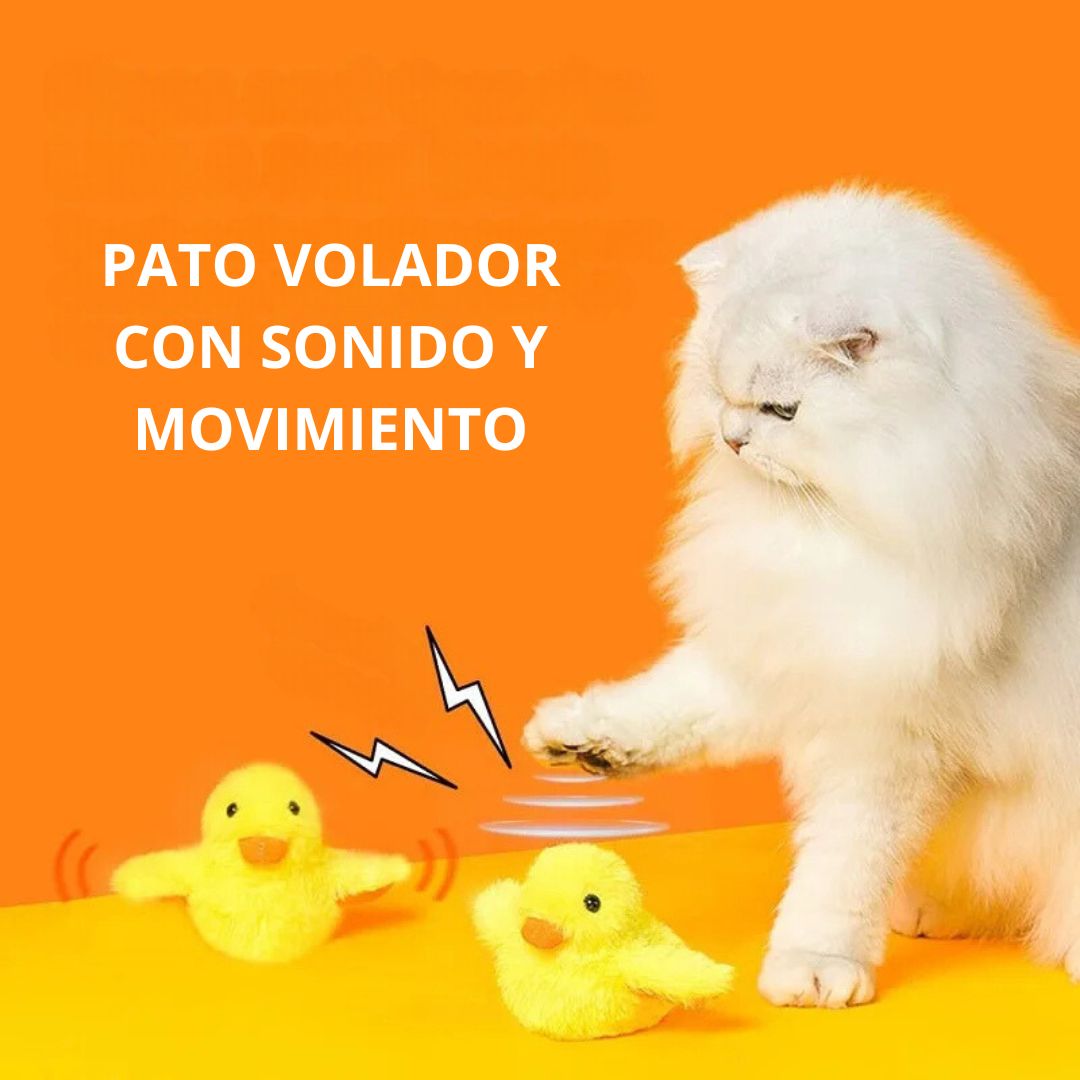 Pato volador para gatos 🐱 - DESPACHO GRATIS