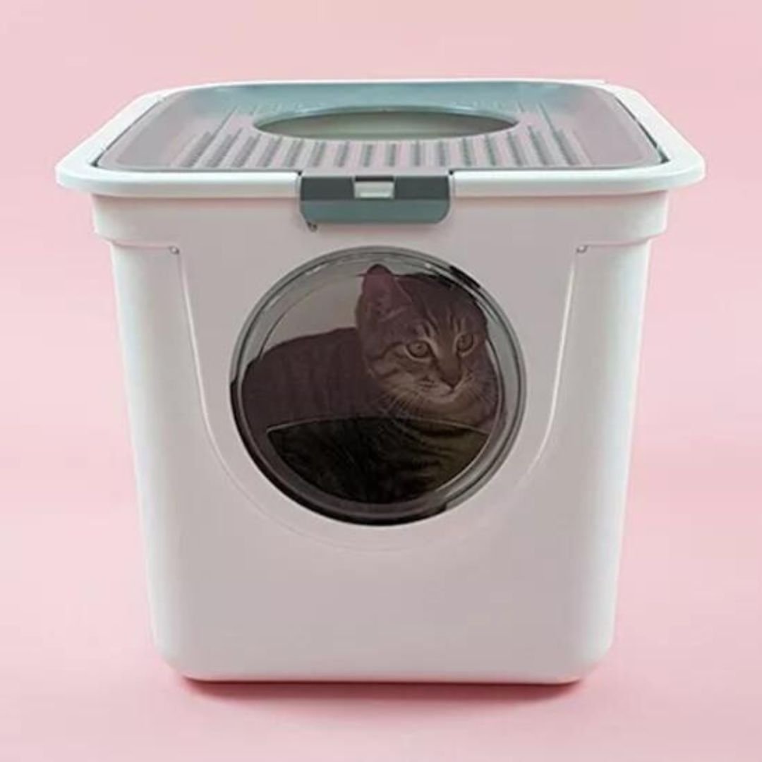 Arenero para Gatos Cerrado con Entrada Superior ( solo rosa) - Mimadogs Latam