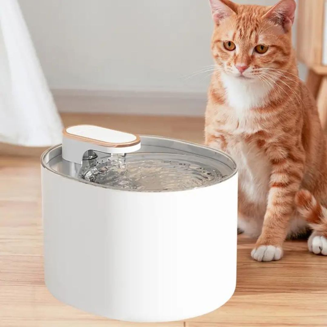 Bebedero automatico para gatos 3 Litros - Mimadogs Latam