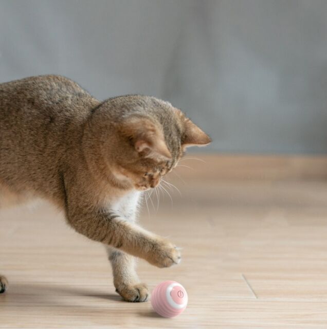 Pelota Interactiva para Gatos - Mimadogs Latam